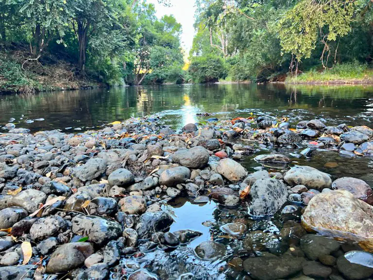 ‘My house will be underwater’ – Residents rally against CSIRO flood basins