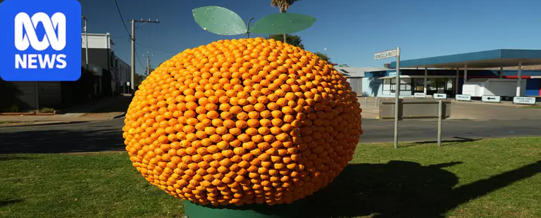 Sculptors see the fruit of their labour as oranges become art