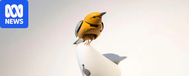 Mechanical bird ignites feud between Kelly Clarkson and toy store