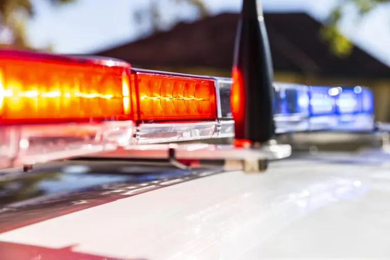 Update 1: Assault charges, Wishart