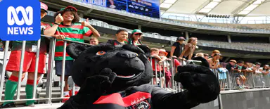 Anthony De Ceglie steps down as Perth Bears CEO