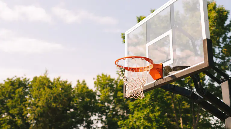 Success for Manly basketballers