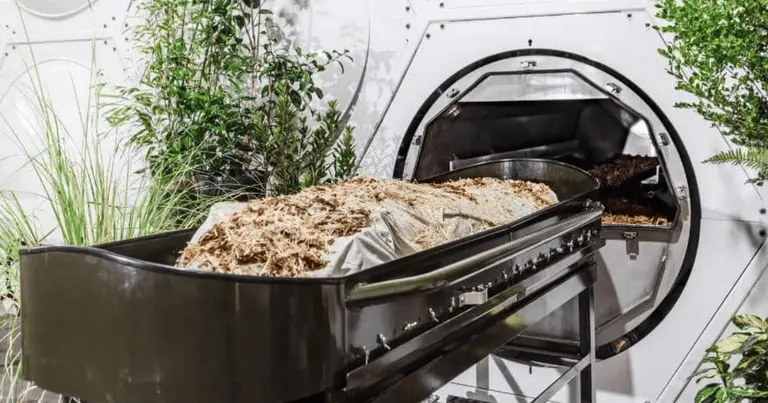 WATCH: New South Wales legalises human composting