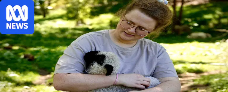Owners fear rare lamb worth up to $25k stolen
