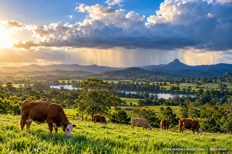 Rainfall Outlook Brings Timely Boost For Australian Farmers