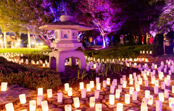 It’s another massive weekend in Canberra. Here’s what’s on