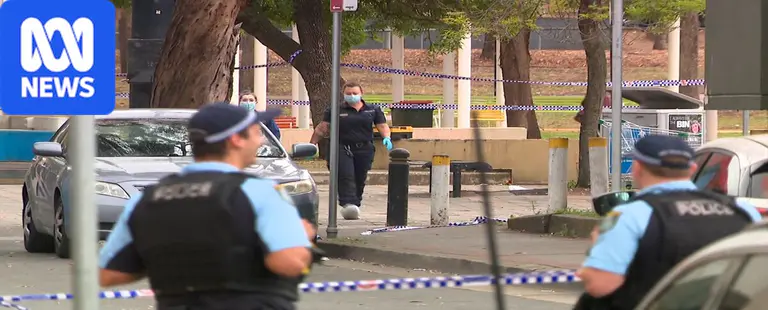 13yo charged with murder after 'senseless' fatal Sydney stabbing