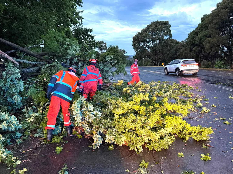 Storm shock: No injuries but there could have been, they say