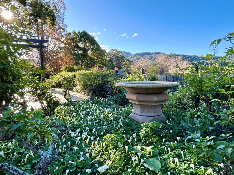 Berry’s bloomin’ beautiful gardens open up to visitors