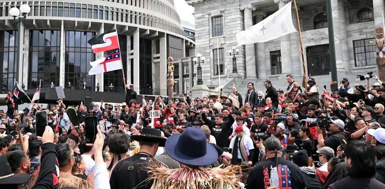 新西兰下一届政府将接手一场远未解决的《怀唐伊条约》辩论
