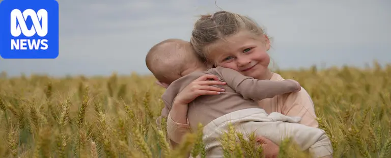 Rain turns dry paddocks into bumper crops after years of drought