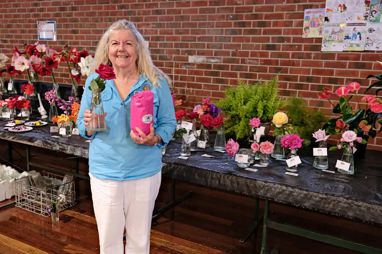 Cow poo makes a champion rose at Casino Show