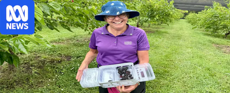 First-time farmer solves mulberry packing problem with dental drill
