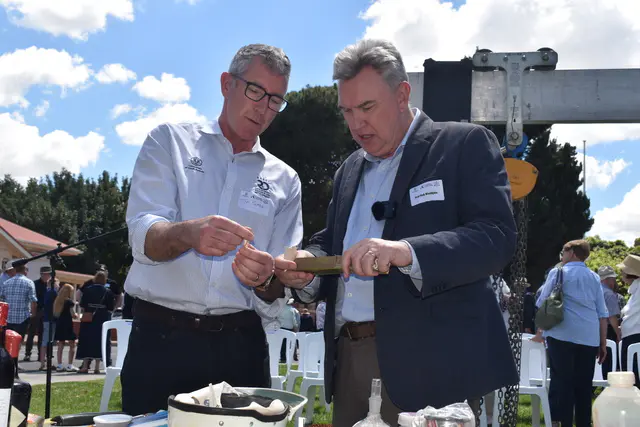 A glimpse into 50 years of wheat disease evolution