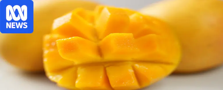 Darwin's mango harvest historically low after 'strange' season for growers