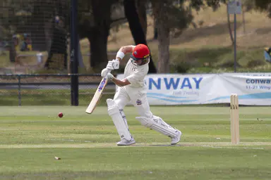 Bulldogs star with bat