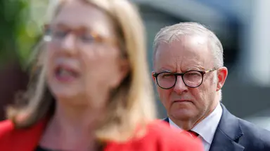 'Political process': Labor HQ guided $560m grant scheme