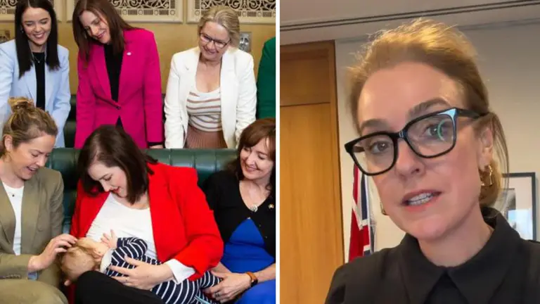 ‘Completely nuts’: controversial NSW parliament policy sparks fury