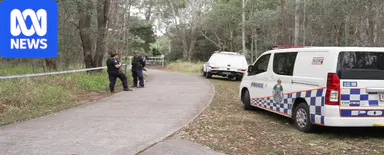 Dog owner to face harsher penalties after man attacked in Brisbane park