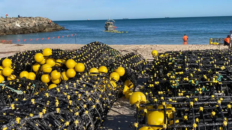 科特斯洛海滩 (Cottesloe Beach)鲨鱼屏障安装延期，因巨浪即将来临