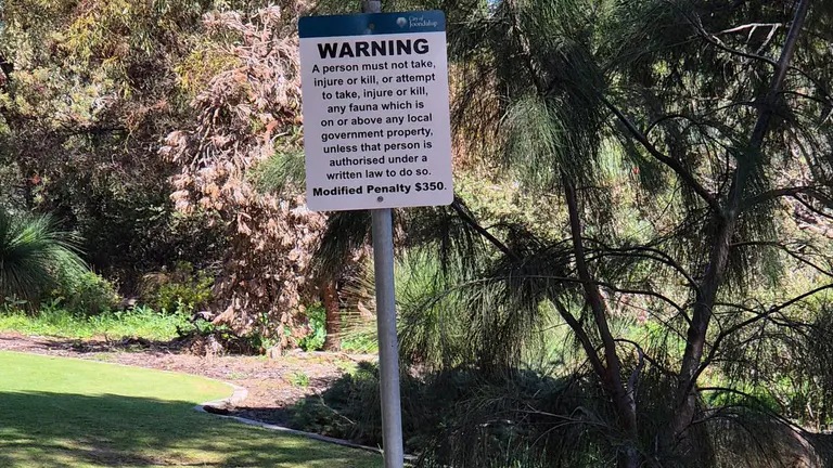 City of Joondalup reports increase in reports of illegal fishing at lakes and park waterways