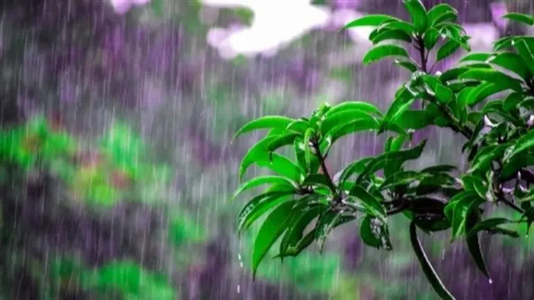 Wet weather and flash flooding update