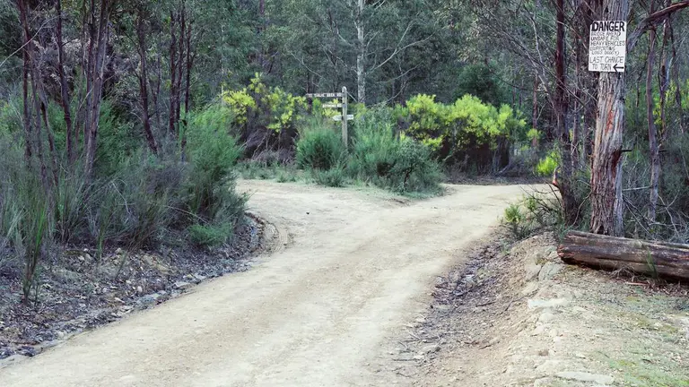 ‘Killer remains out there’: Family of missing dad found in shallow grave in Melbourne desperate for answers 40 years on