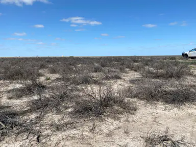 Salt of the earth under threat as mystery hits Hay Plains