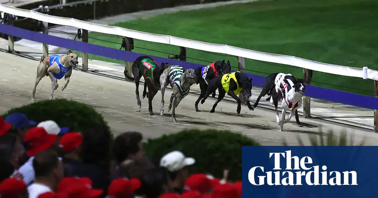 Gone to the dogs: racing fans mourn closure of ‘Wenty’, Sydney’s historic greyhound track