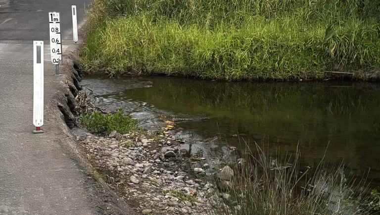 Flows in Canungra Creek reduce as Spring sets in