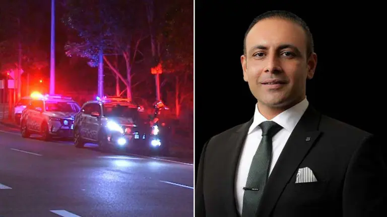 Real estate agent identified as dog attack victim left in critical condition in Brisbane park