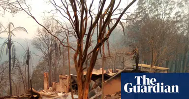 Most NSW homes destroyed in black summer bushfires were within 100 metres of vegetation