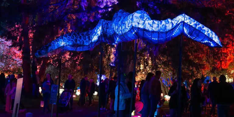 Big weekend of festival action across the New England