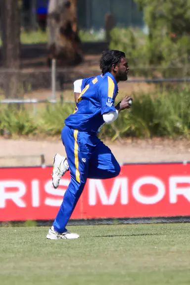 Lions strong performance