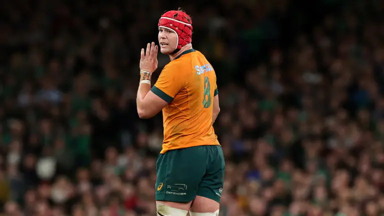 월라비스 (Wallabies), 블레디슬로 컵 (Bledisloe Cup) 개막전 앞두고 승리 냄새, 24년 가뭄이 끝나나?