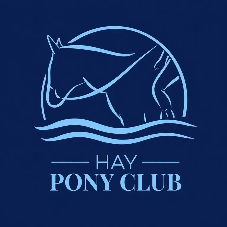 Hay Pony Club November Rally
