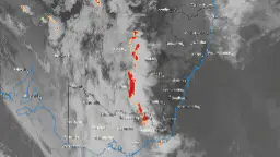 Queensland, NSW, ACT and Victoria to be hit with ‘wild’ rainy weather