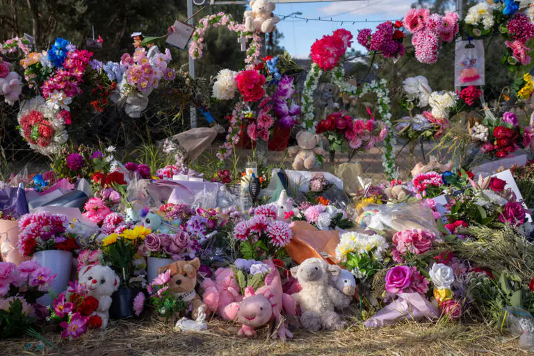 Ex-top cop points to care worker failings in girl’s death