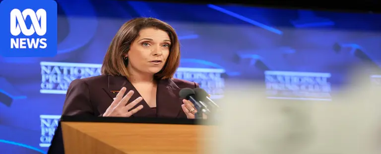 Anika Wells opens door to lawsuits against big tech companies