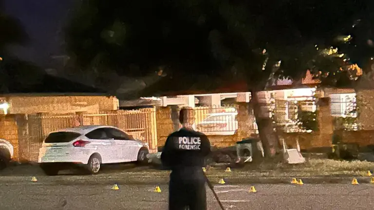 戈斯内尔斯一住宅夜间遭子弹射击，警方正在追捕枪手