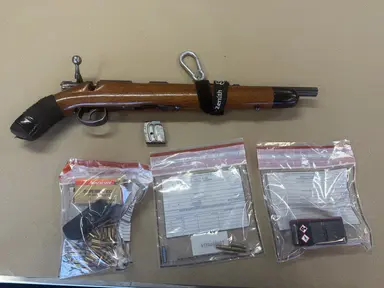 Hundreds of illegal firearms seized during national week of action