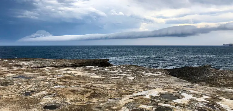 Maroubra & Coogee Beach Closed Due To Whale Carcass