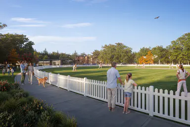 Town plan scrutiny