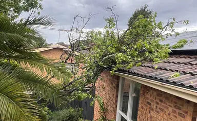 Sunday storms leave fallen trees and power outages across the Territory