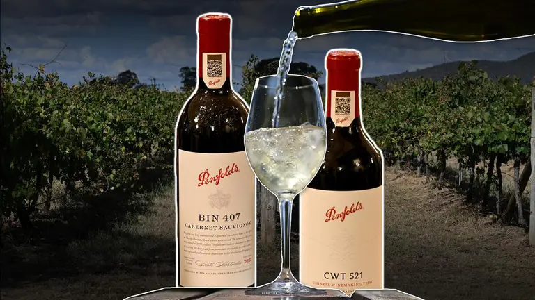 Penfolds owner in no rush to sell discount labels