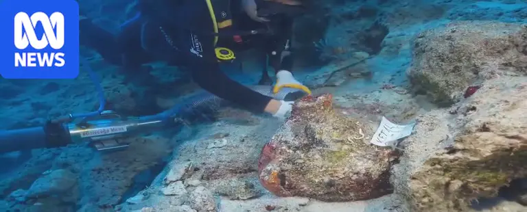 Ancient ceramics retrieved from 'world's oldest known' shipwreck