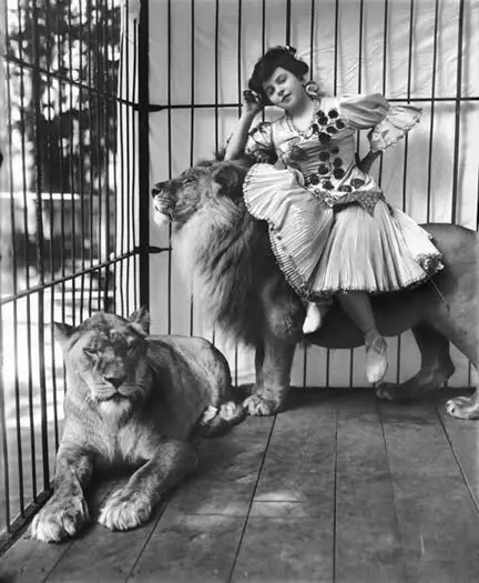 Who was really the villain in Batemans Bay’s great circus lion escape?