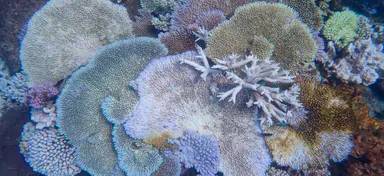 The El Niño backdrop that could spell trouble off Australia's coast