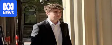 First Australian charged under deepfake pornography laws avoids jail