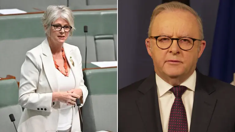Albanese calls for civility as Joint Counter-Terrorism Team investigates alleged attack on independent MP Helen Haines